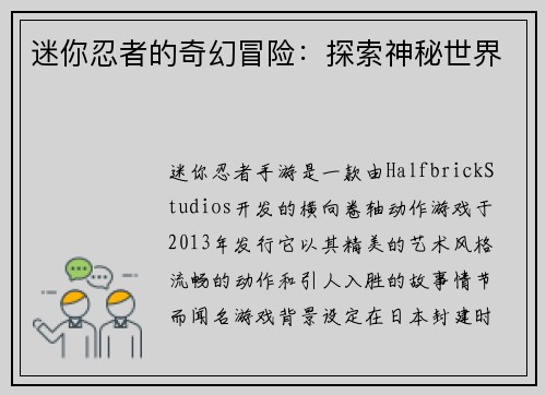 迷你忍者的奇幻冒险：探索神秘世界